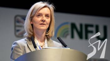 ���������� ���: �������� ������������ ���� ����� ��� ���������� � ������