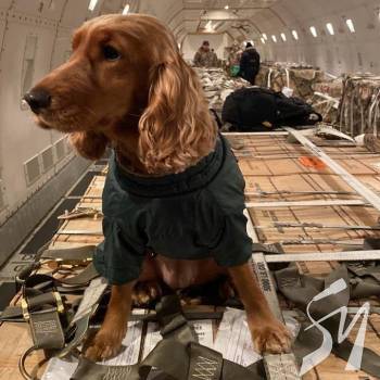 ������ ������ � ��⳻ � ��� ��������� ������ ������ � �����