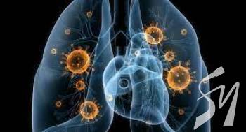 ˳����� ����������� ������ ��������� �������� ��� �������� ������������