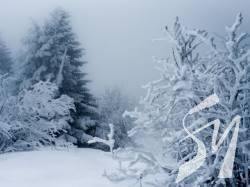 ���������, ���������, ������� ����: ��������� ������������ ��� ��������� ������ � ������