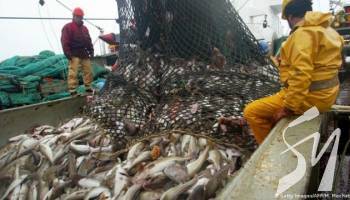 ��������� ������� ������� ������� ������ �������� � ���������