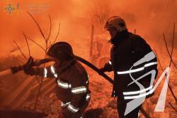 �������� �������� ����� ������������� 45 ���� ���������� �� �������� ������������ ����