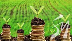 � ������ ��������� ������������� ��� ������ �������� � �����-������� ����