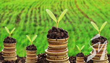 � ������ ��������� ������������� ��� ������ �������� � �����-������� ����