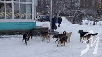 � ���� ��������������� �������� ���