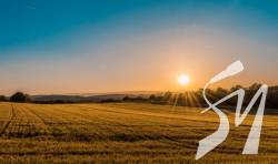 �� ����������� �������� ����� ���� ���� ���������� �������� � ���������� ���������