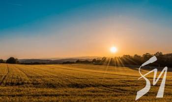 �� ����������� �������� ����� ���� ���� ���������� �������� � ���������� ���������