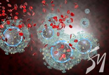 �������� ����� ���� ²� - ���������� �� ������������