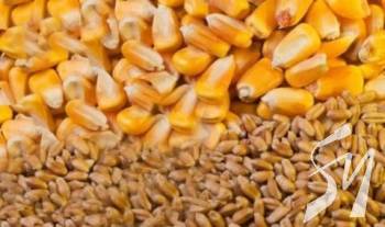 ��������� ������ ��������� ������ ��������� ��������� �� ������� 