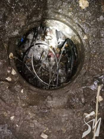 ��������� Vodafone ����� ��������� ������������� ����� �� ��������� � ���������