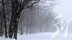 ��������� ��������� �������� ������������ ����� ����