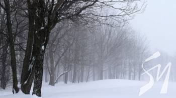 ��������� ��������� �������� ������������ ����� ����