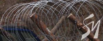 ��� ���������-ѳ��������� ��������� ��� ������� ������� ������ ���������� ��������