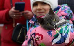 � ������� ���������� ��������� ����� � ������ ������ ������ ����� � ���