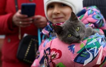 � ������� ���������� ��������� ����� � ������ ������ ������ ����� � ���