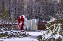 � ������� ������ ������� �������� ���� - ������ ���