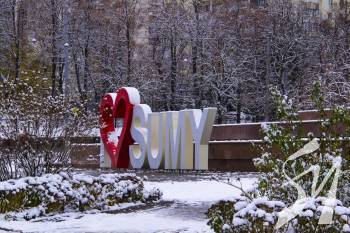 � ������� ������ ������� �������� ���� - ������ ���