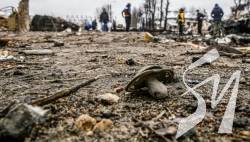 � ������� ���� � ������ �������� 41 ������