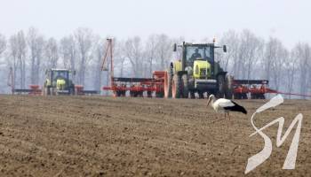 ������ �� �������� � ������������ ������� - ���������� ������ ��