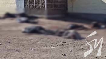 ������ ����� 10 �����, �� ������ � ���� �� ����� � ��������