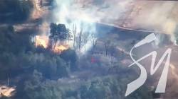 ��� ��������, �� ������� ��������� �����