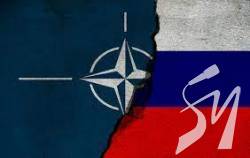 ���� ���������� ������ ���������� �������