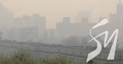 ��� ������ �� ����� ���� � ��� �� ������������� ������ � � 33 ���� ���� �����