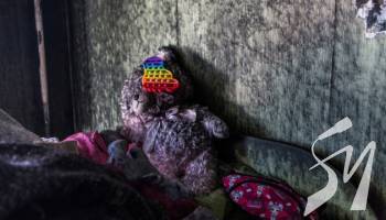 � ������� ���� � ������ �������� 117 ����