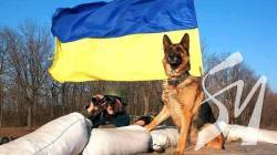 ��������� ����� � ����� �����, ���� � ���������, ��� ����� �� �� ����� ���������