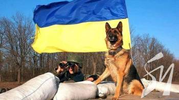 ��������� ����� � ����� �����, ���� � ���������, ��� ����� �� �� ����� ���������