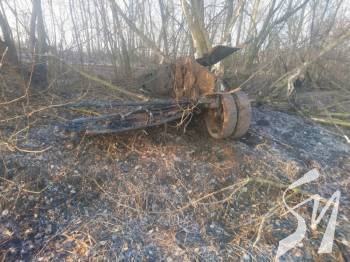 �������: �� ����� �������� ����������� �������� �� �������