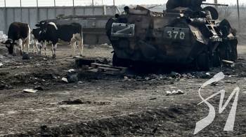 ��������� �������� �������� �� ���������