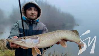 ϳ� ���������� ������ ����� ����������� ������ ����������, ���� ������ ������� ��������