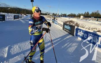 ��������� ����������� ��� ������������� ���������� ���������