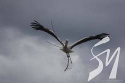 � ���������� ���������� ���� �� ����������� �������� ������