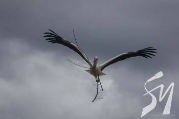 � ���������� ���������� ���� �� ����������� �������� ������