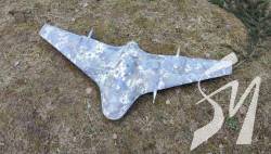 �� ����������� ������� ��������� ��������� ����������