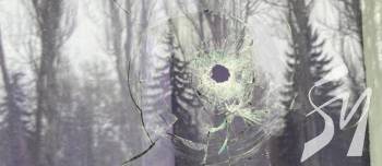 �������� ��������� ����� �� ������� ��������� � ������������ ������