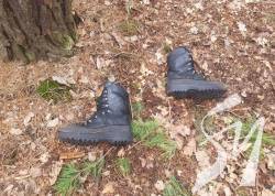 �������� ������ ������ �� �������� �������: �̲ ��������, �� ������ ������ �-�� ���������