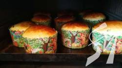 � ������� ������� � ��������-ѳ��������� ������ ����� ��� ���������