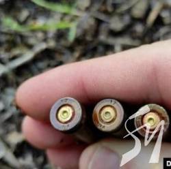 ��� �������� �� ������ � ������������: ����� �������� �������� �� �����������