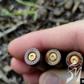 ��� �������� �� ������ � ������������: ����� �������� �������� �� �����������