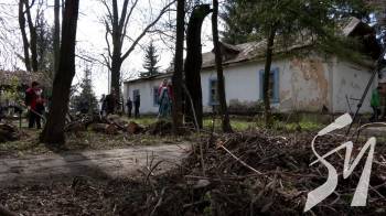 � ��������-ѳ��������� ���� ������ �� ������, ��� �������� 100-���� ���� ���������