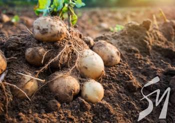 �������� �������� � ����������� ����������� ������������� �� ��� ������