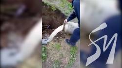 � ��������-ѳ��������� ������ �������� 30 ���� �������� � 120 ���� ����� �� ������ � ������