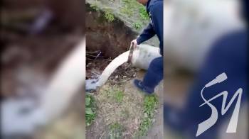 � ��������-ѳ��������� ������ �������� 30 ���� �������� � 120 ���� ����� �� ������ � ������