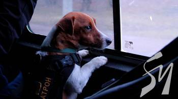 ³������� ��� �� ������� ���������: �� ������������ ��� ������ ���� �����������