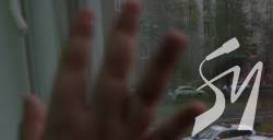 س��� �����: �� ��������� �������� ����� 15 ��������� ������������ � ���������