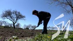 ������ ������, ������ �����: ����������� � ��������� ������ � ��� �� ����������-ѳ��������