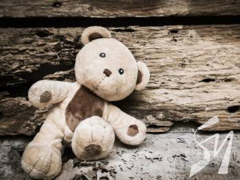 ����� ������� ������ �� � ������ �������� 226 ����, 416 ��������